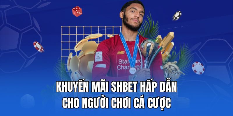 Khuyến mãi Shbet - Hấp dẫn cho người chơi cá cược